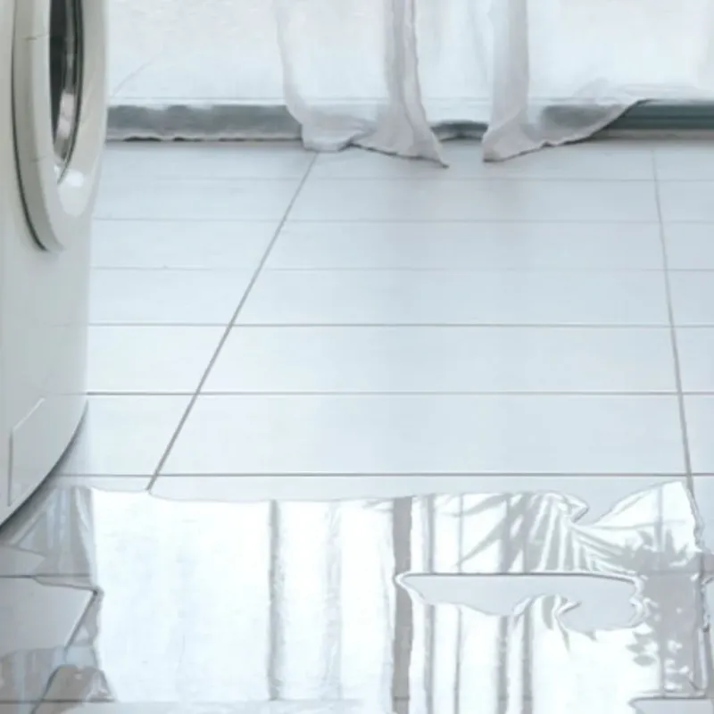 Appliance Leak Cleanup in Amador County, CA